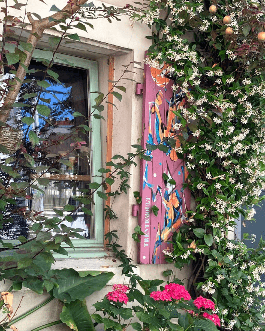 Retour sur : le dernier photo walk