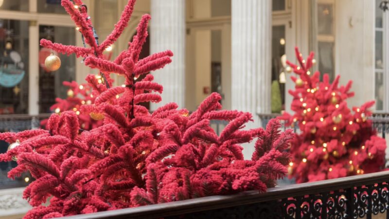 Photo Walks : le 14 décembre