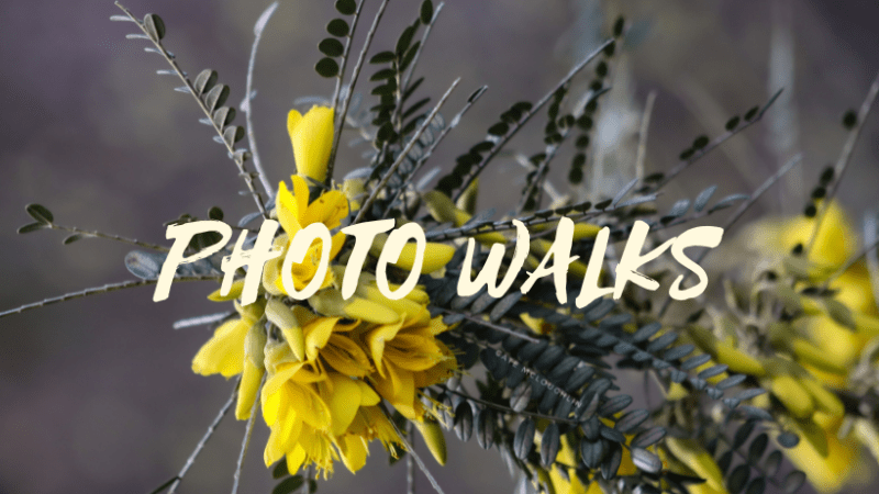 Photo Walks : le 22 mars