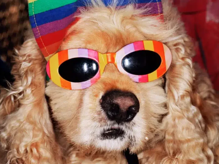 Martin Parr : Global Warming (Paris)