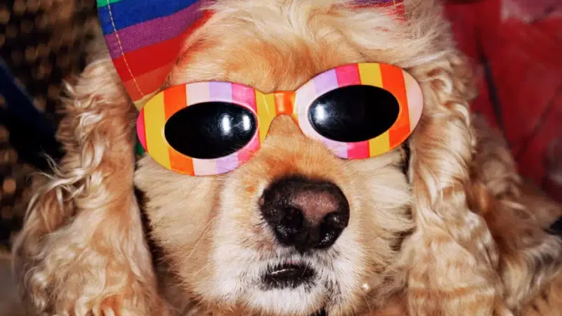 Martin Parr : Global Warming (Paris)