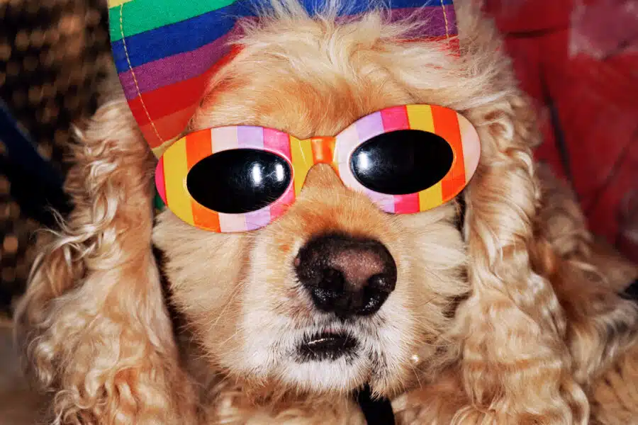 Martin Parr : Global Warming (Paris)