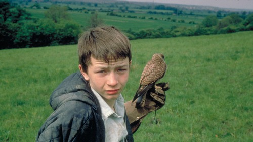 Rétrospective Ken Loach (Paris)