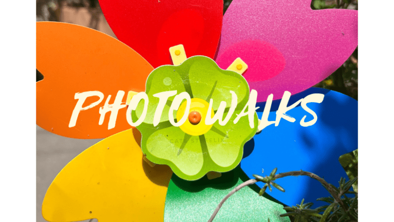 Photo Walks : 14 juin